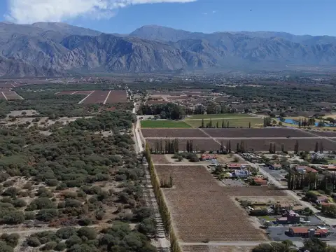 Campo de 77 has En Venta