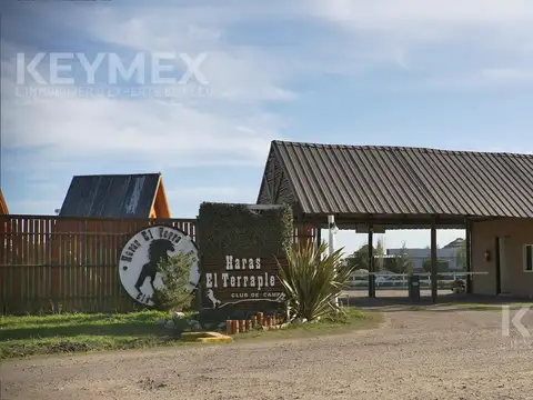 Mar del Plata y Pigue