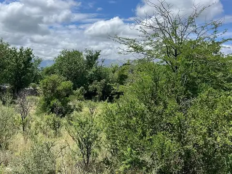 Hermosas medias hectarias en Nono, con escritura