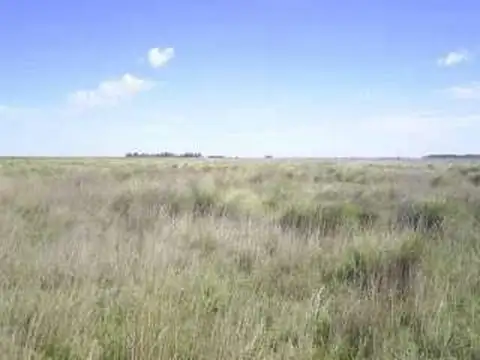 Campo en Venta Mixto