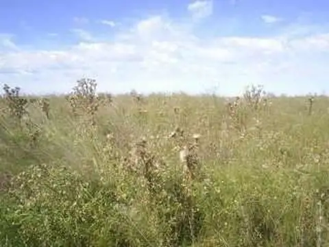 Campo en Venta con Alambrado