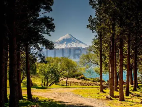 LOTEO QUILLEHUE , Piso 0