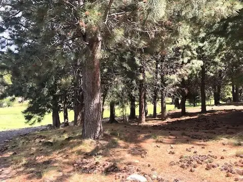 Terreno en Venta de 1300,0 m2