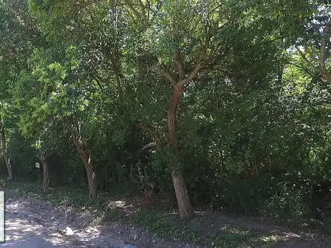 Venta Terreno en Villa Giardino