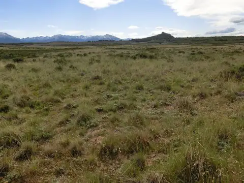 Campo - Rio Pico - 1.600 has con costa de Lago