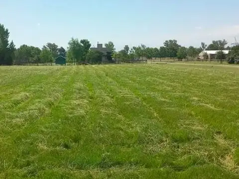 Terreno en Venta de 3100,0 m2