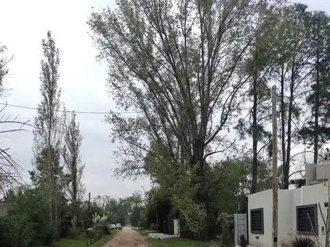 LOTES EN GENERAL RODRÍGUEZ