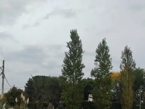 Terreno en Venta de 200,0 m2