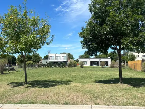 LOTE DE 1000M2 AREA 1 LA MAS CONSOLIDADA