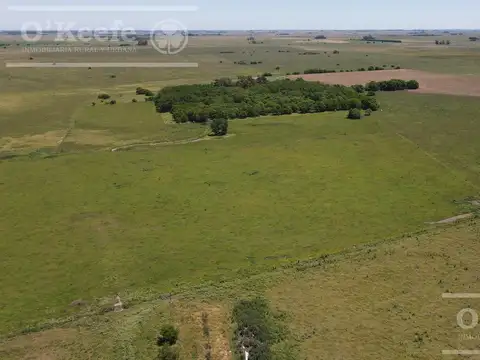 Campo Mixto en venta 224 has en Magdalena