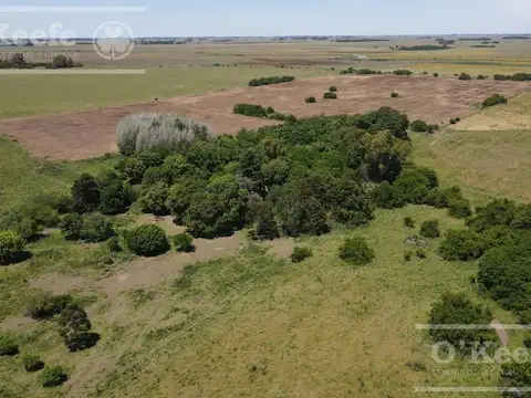 Campo Mixto en venta 224 has en Magdalena