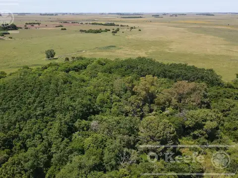 Campo Mixto en venta 224 has en Magdalena