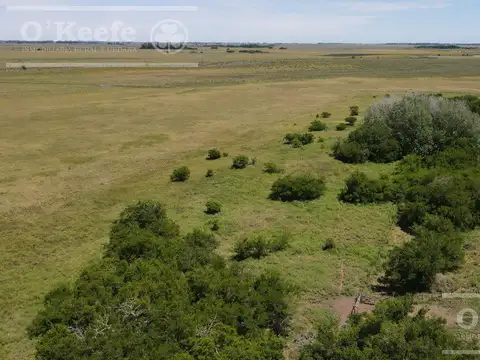 Campo Mixto en venta 224 has en Magdalena