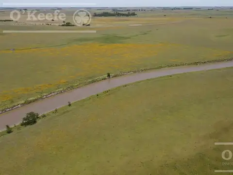 Campo Mixto en venta 224 has en Magdalena