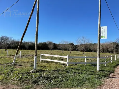 Enrique Larreta al 8300