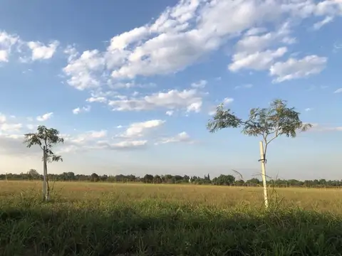 Terreno en Venta de 890,0 m2