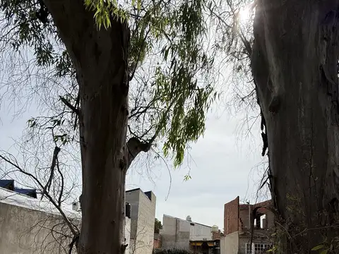 Lote listo para escriturar, alambrado, no paga expensas