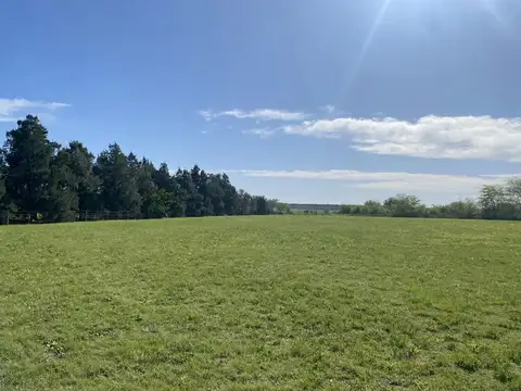 Terreno en Venta de 14647,0 m2