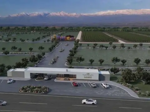 Terreno en Venta en Tupungato, USD 42.000