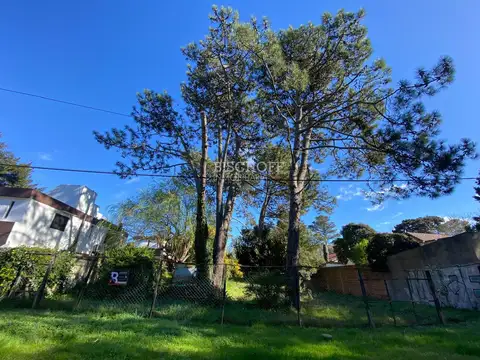 AVENIDA 7 ENTRE PASEOS 109 Y 110