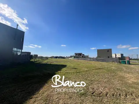 San Sebastián - Área 6 -