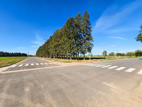 Terreno en Venta en General Lagos, USD 48.000