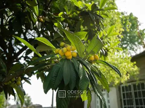 Casa 6 ambientes con 1 baño