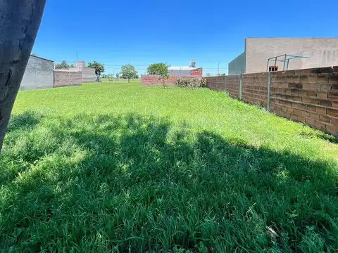 Adolfo Albrecht 2000