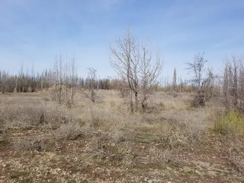 Terreno en Venta en Plottier, USD 13.500