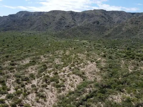 Campo de 823 HA SAN LUIS