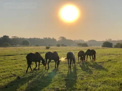 Terreno en Venta de 1519,0 m2