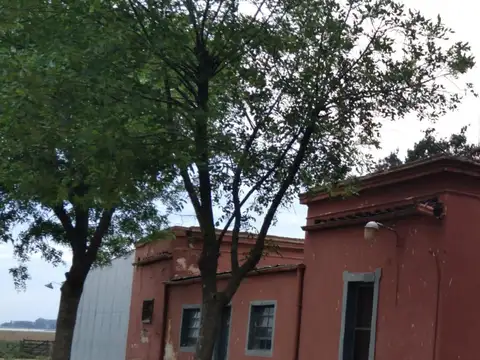 Venta Campo en Gral. Lopez Santa Fe