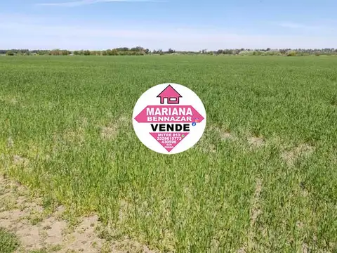 Bernabé de San Martin 3000