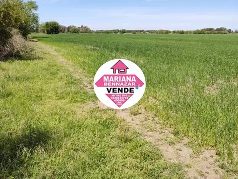 Campo en Venta - Baradero