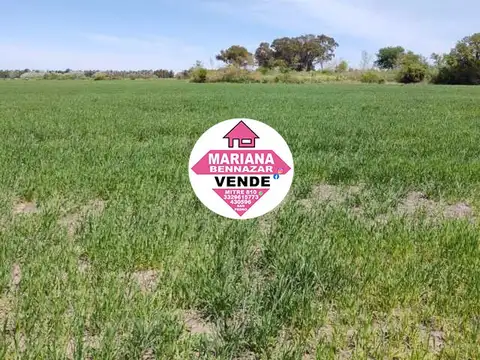 Campo en Venta - Baradero
