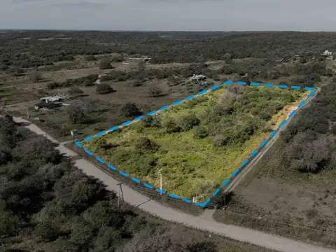 Avenida la Blanqueada