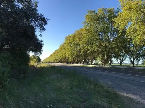 Terreno en Venta 130  mts Fondo