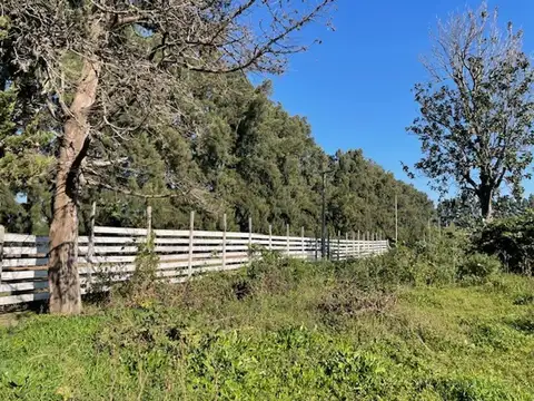 Terreno en Venta en Gobernador Castro, USD 35.000