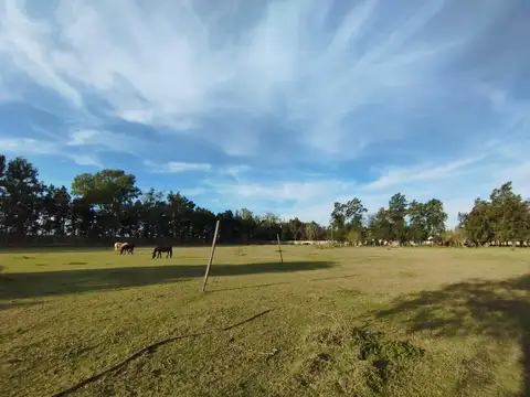 VENTA LOTES  SAN LORENZO SUR