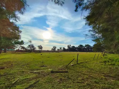 José Manuel Estrada 2100