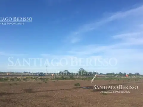 Exaltación de la Cruz