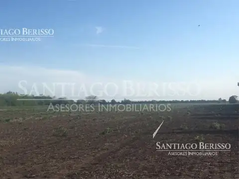 Exaltación de la Cruz