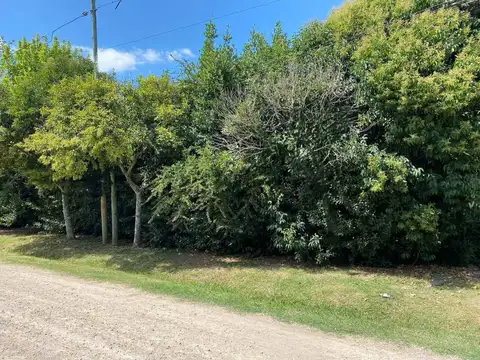 Calle 29 esquina 471 100