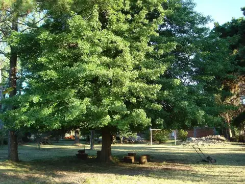 TERRENO EN VENTA. PILAR