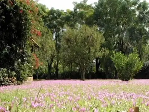 Terreno en Venta de 1614,0 m2