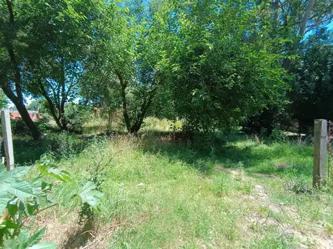 Terreno en Venta en Villa Elvira, USD 19.900