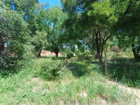 Terreno en Venta de 990,0 m2