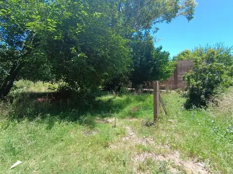 Lotes en venta en La Plata
