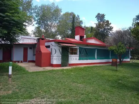 F. Cavallo, El Pinar