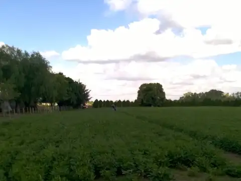 Terreno en Venta 79  mts Frente